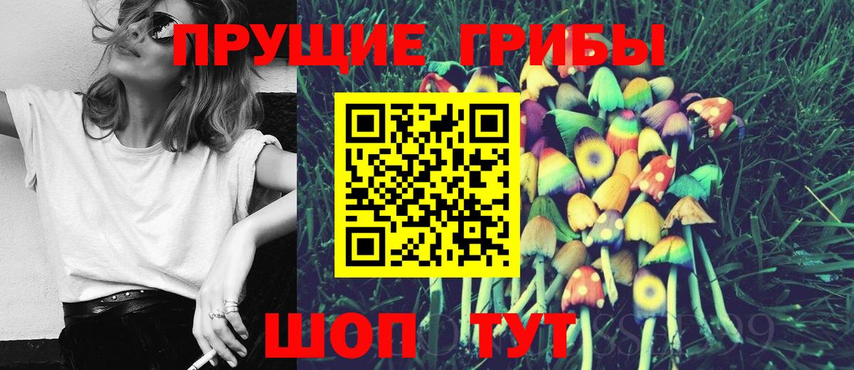 Галлюциногенные грибы прущие грибы  Вход с VPN  Усть-Джегута 