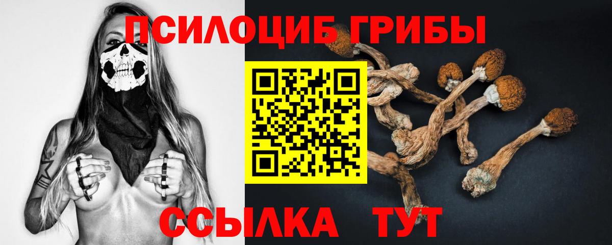 Псилоцибиновые грибы MAGIC MUSHROOMS Усть-Джегута